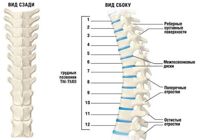 Osteochondroza cervicală
